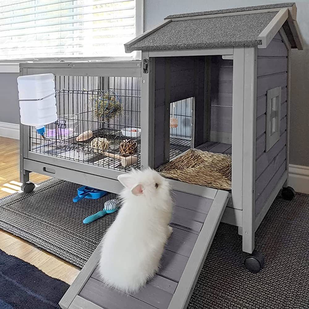Best indoor rabbit hutch 2026 guide.